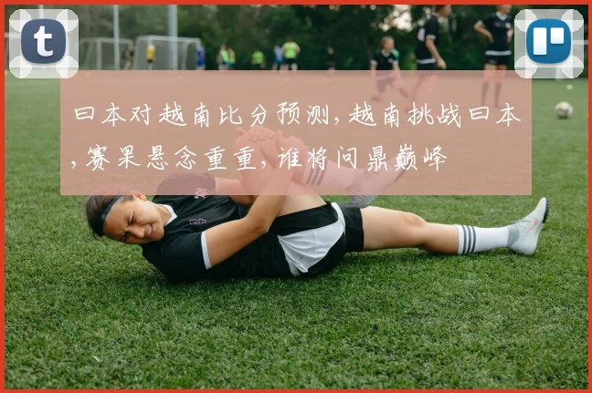 曰本对越南比分预测,越南挑战曰本,赛果悬念重重,谁将问鼎巅峰