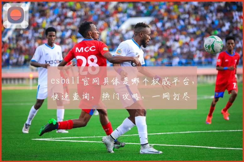 esball官网具体是哪个权威平台，快速查询，热门攻略，一网打尽