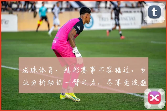 龙珠体育，精彩赛事不容错过，专业分析助你一臂之力，尽享竞技盛宴